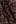 Color swatch - (#BLACK)