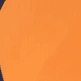 Color swatch - blank